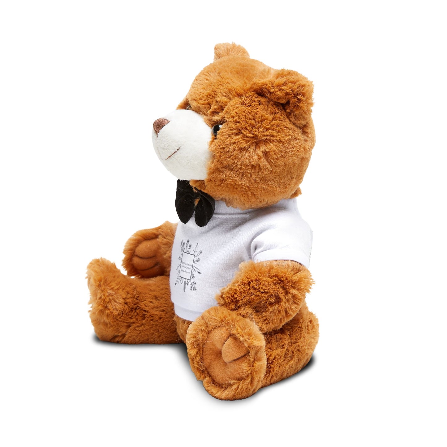 Teddy Bear with T-Shirt