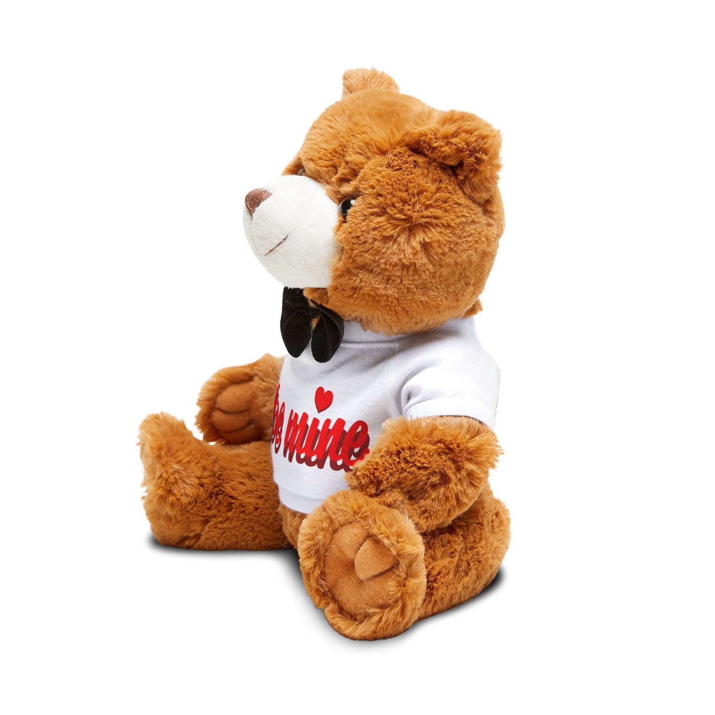 Be Mine Teddy Bear with T-Shirt