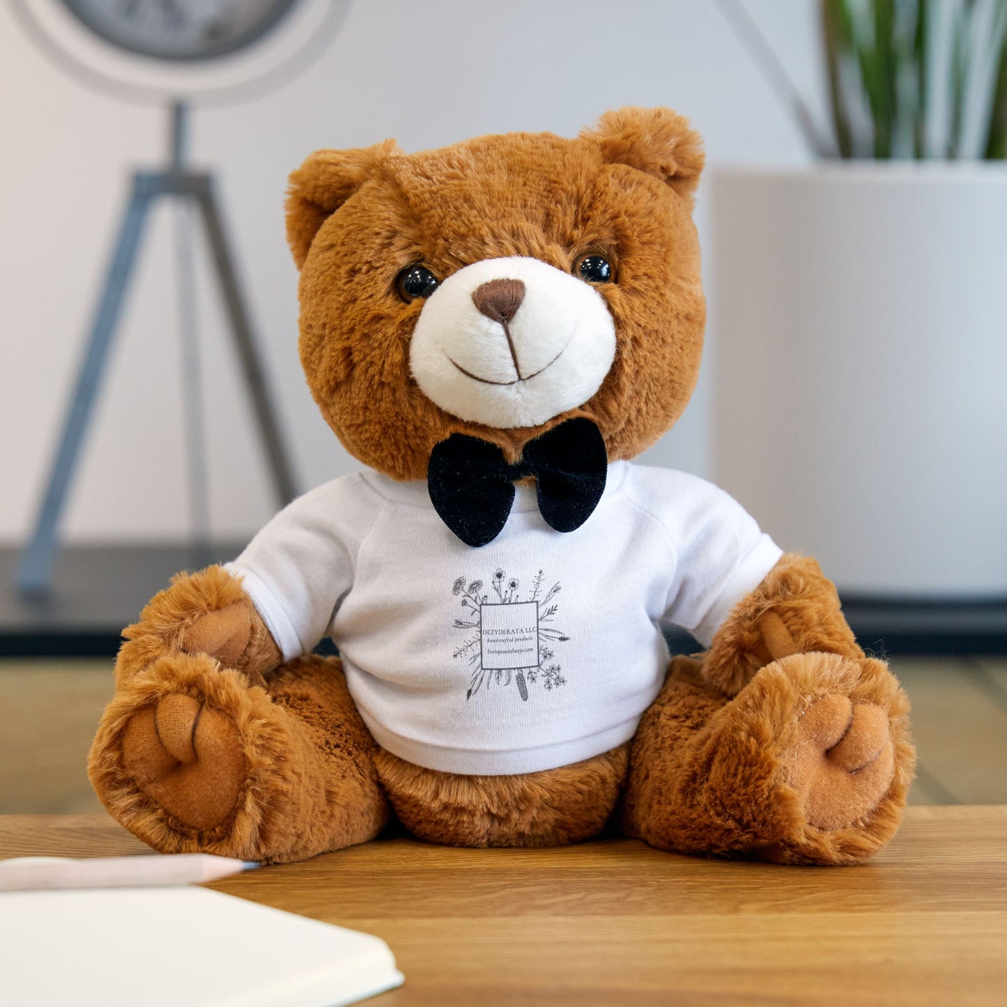 Teddy Bear with T-Shirt