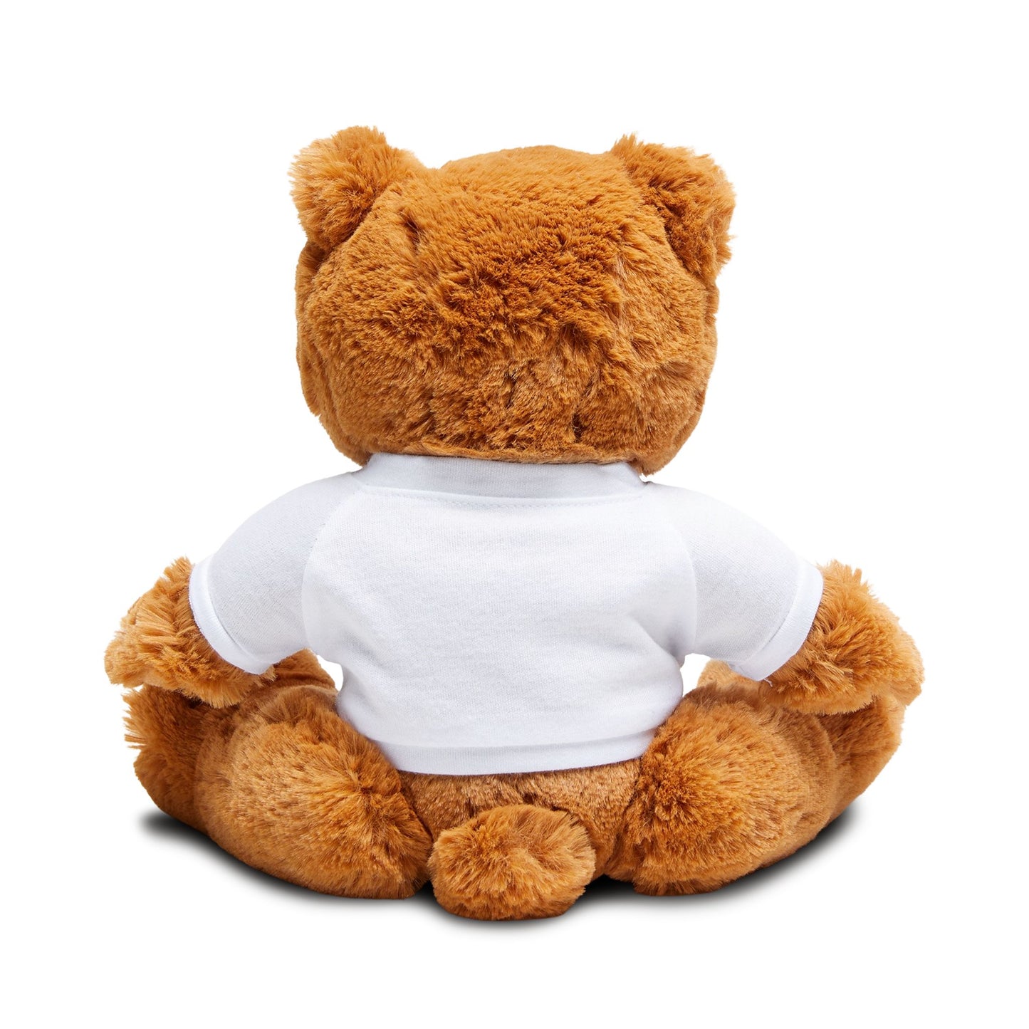 Be Mine Teddy Bear with T-Shirt