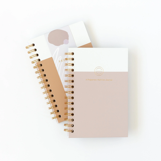 Journals, Promptly Journals Post-Partum Self-Care Journal - 1 CT