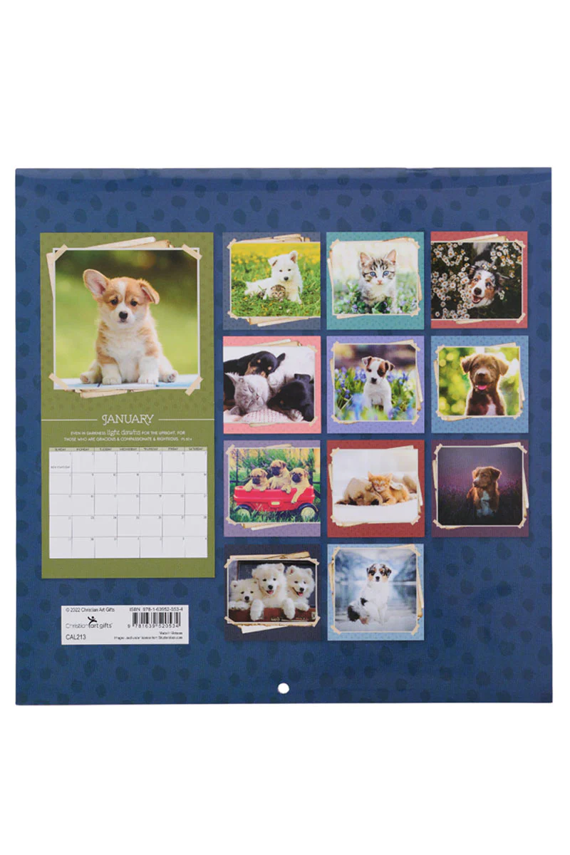 Calendarios, Calendario de pared de animales lindos de Amigos amorosos 2023 - 1 unidad