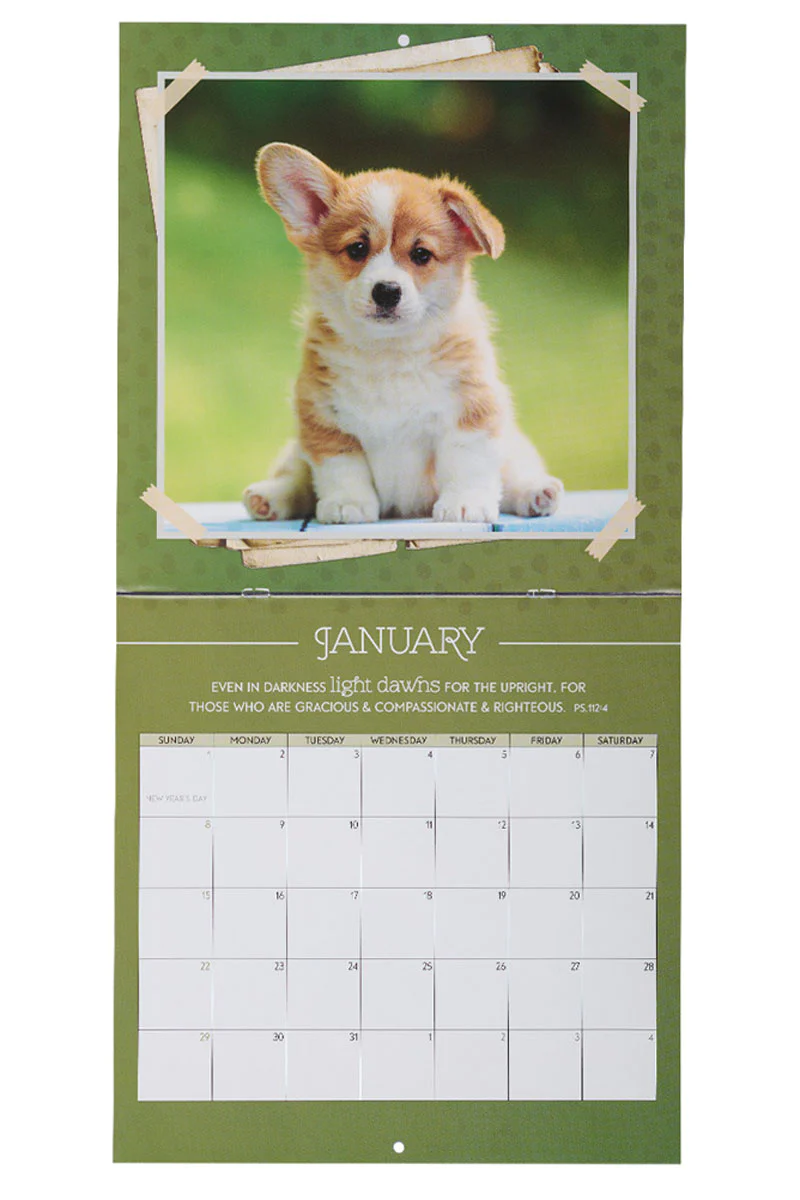 Calendarios, Calendario de pared de animales lindos de Amigos amorosos 2023 - 1 unidad